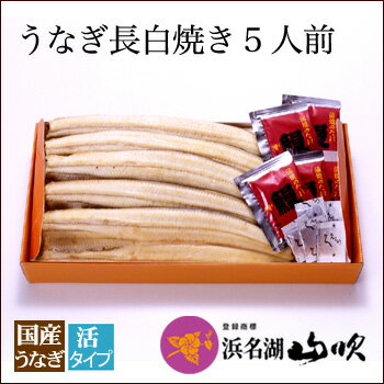 白焼き 朝焼きうなぎ［うなぎ専門店 浜名湖山吹］送料無料 活うなぎ 長白焼き 5本 YS10-5 о_老舗デパ地下鰻屋の国内産の、うなぎ。お祝い ギフト プレゼント 贈り物 などに最適！食品 朝じめ 朝焼き【ウナギ、鰻、国産】冷蔵でお届け