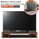 ちょい足しラックプラス110 テレビ