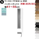 ワードローブすきまくん WSD ハンガー+チェスト 片開 2CR(右開)/2CL(左開) 幅41〜55cmセミオーダー 完成品 国産 日本製 ハンガーラック チ...