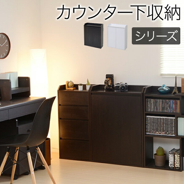 Rakuten - カウンター下収納 薄型 ミニ キャビネット 両扉 付き 幅60 奥行22 高さ80 カウンター下 リビングキャビネット シンプル キッチン下収納 リビングキャビネット