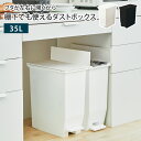 ゴミ箱 両開き 35L 35リットル ふた付き 1個 単品 ペダル式 キャスター付き ごみ箱 ダストボックス 足踏み ペダルペール シンプル おしゃれ 高級感 角型 縦型 長方形 棚下 カウンター下 レンジ台 すきま 2分別 台所 キッチン スリム【北海道・沖縄・離島配送不可】