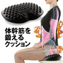 骨盤矯正クッション ダイエット器具 腰痛 ストレッチ クッション 骨盤矯正 腰痛 クッション ダイエット 器具 ダイエットクッション フィットネスマット ジム エクササイズマット 体幹筋 超弾力 筋力 ぽっこりお腹 ダイエット器具【体幹筋シェイプエクササイズマット】