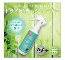 ドライシャンプー ドライボディシャンプー アウトドア 外出 汗 薄い 軽い 小さい 入院 介護 体調不良時 お風呂が面倒 疲れた時 人と会うとき 防災 【ドライ...
