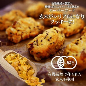 福袋 2022 お菓子 ダイエット 食物繊維 有機チアシード 玄米 オメガ3脂肪酸 アミノ酸 マクロビダイエット 有機JAS認定 小分け【ナチュラルチアクッキー 3種500g】
