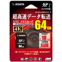 RiDATA RD2-SDX064G10U3 SDXCJ[h ubN