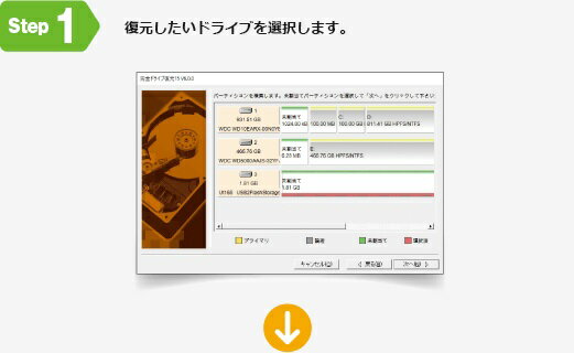 ����󥰥� �����ɥ饤������15 JP004459