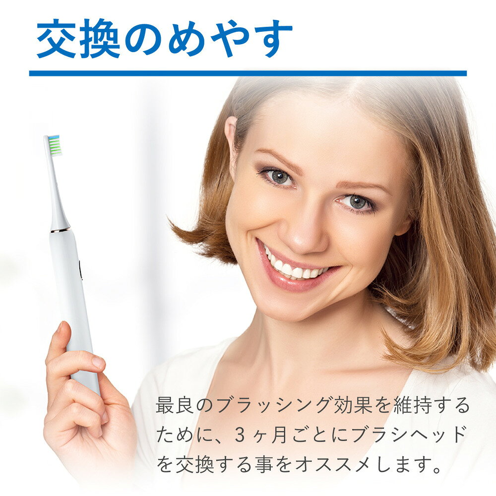 inFly （インフライ） infly-PT02WH 交換ブラシヘッド 替えブラシ3本セット IF-PT0...