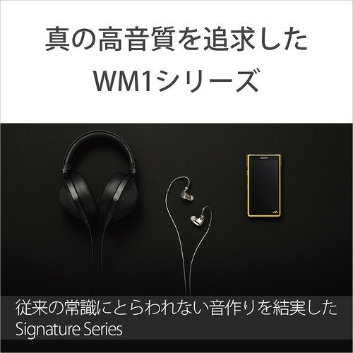 ���ˡ� NW-WM1ZM2 �ϥ��쥾�����б����������ޥ� WM1���꡼�� Signature Series 256GB �������