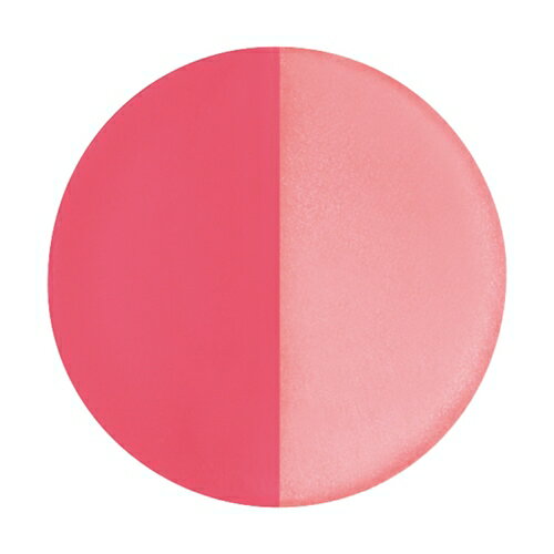 ����Ʋ��SHISEIDO�� ����ƥ��졼�� ���ƥ����⡼�ɥ����� PK384 (2.7g)