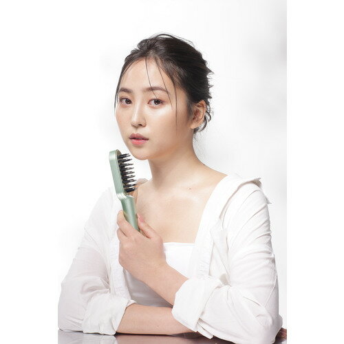 HAKKO MIROKU GR EMS����� ��ưƬ��֥饷 MIROKU BRUSH ���꡼�� �ߥ����֥饷