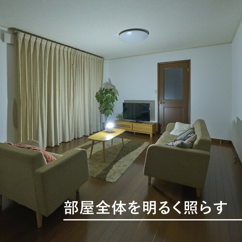 パナソニック BF-BL40K-W 乾電池エボルタNEO付き強力ランタン(でかランタン) BFBL40KW 3