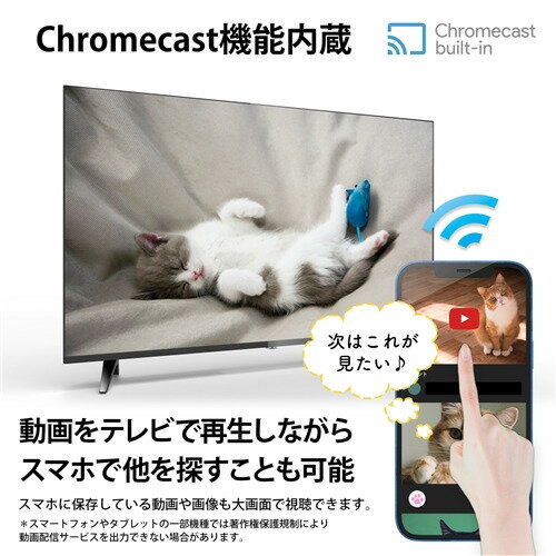 KEIYO RCA-43N1 チューナーレステ...の紹介画像3