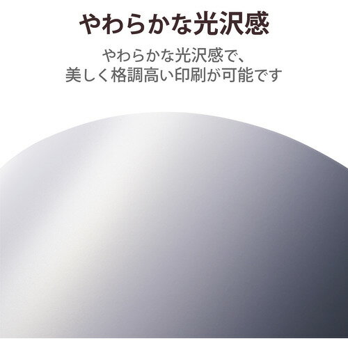 エレコム EJK-ML2L20 プリンター用紙 写真用紙 2L判 20枚 微光沢 EJKML2L20