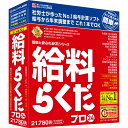 BSLシステム研究所給料らくだプロ24社労士が開発した給与ソフト。給与・賞与計算から社会保険まで安心。「給料らくだ普及版」の全機能に加え、年末調整の自動計算。年末調整ができる社労士が開発した給与計算ソフトです。給与・賞与計算から、社会保険・年末調整まで簡単に処理したい方におすすめします。登録社員数の上限はありませんが、100名くらいまでの企業に最適です。月給・日給・時給などの給与計算から、残業・休日出勤・日割り通勤費・有給休暇残数処理など、各種の自動計算機能を搭載しています。有給休暇は有給残日数と有給残時間を別個に残数管理できます。有給休暇の取得状況も集計表で把握できます。勤務時間数は「タイムカード入力」機能で集計可能です。【発売日】2023年11月16日