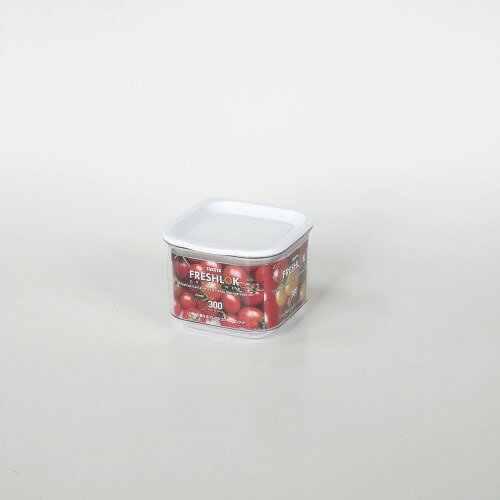 タケヤ化学工業 フレッシュロックコンテナSS300