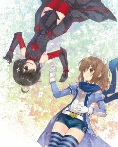 【BLU-R】痛いのは嫌なので防御力に極振りしたいと思います。 Blu-ray BOX