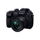 パナソニック DC-GH5M2H LUMIX GH5 II ミラーレス一眼カメラ 10倍ズームレンズキット