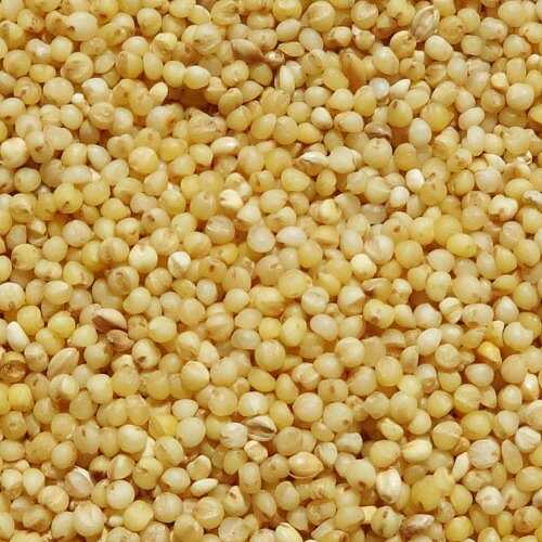 ナチュラルペットフーズ エクセル あわ玉 280g