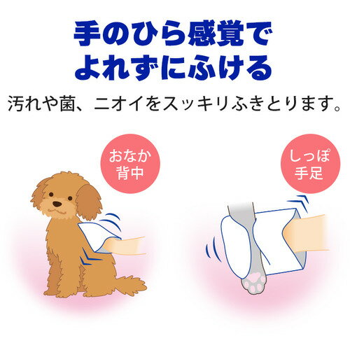 �饤���󾦻� �ڥåȥ��쥤 �ߥȥ�Ǥ餯�餯�����ס������� ���� 15��