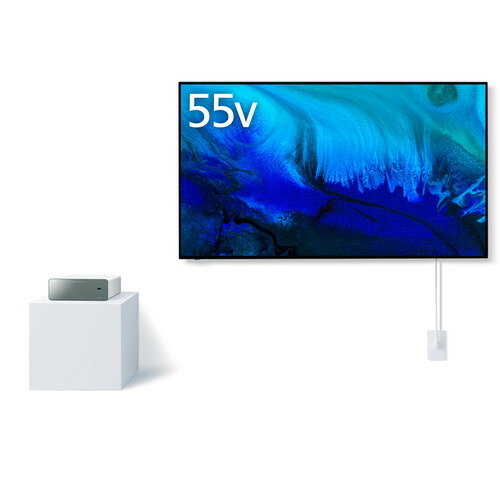 【無料長期保証】パナソニック TH-55LW2 55V型 4K有機ELテレビ VIERA ウォールフィットテレビ BS・CS 4Kチューナー内蔵 YouTube対応