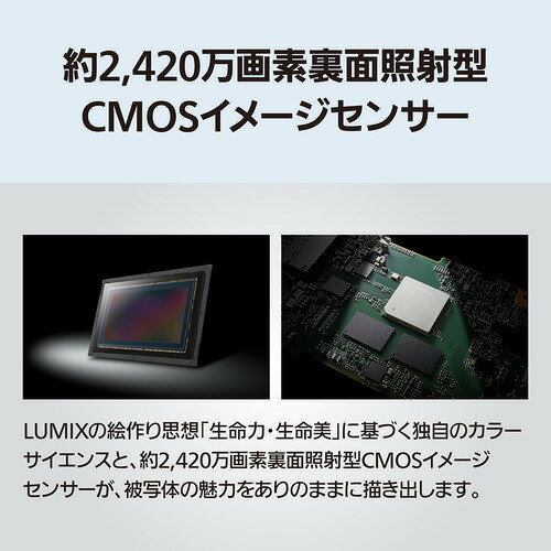 パナソニック DC-S1M2ES デジタル一眼カメラ LUMIX 裏面照射型CMOSセンサー搭載