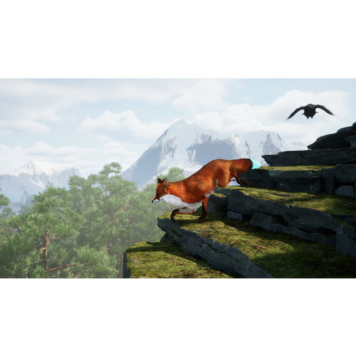 SPIRIT OF THE NORTH 2 【PS5】 ELJM-30567