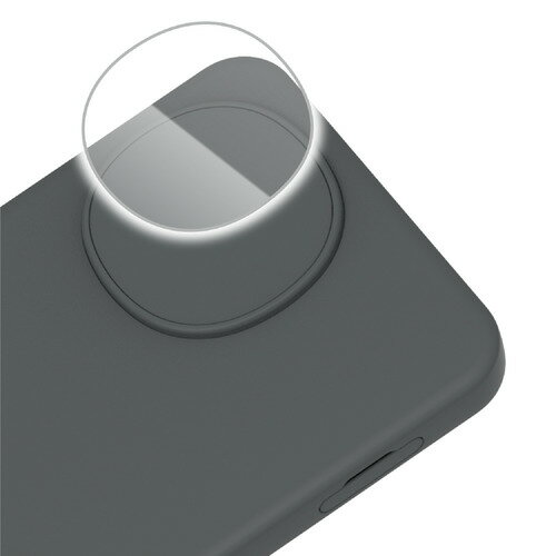 エレコム PM-S253FLLG AQUOS sense10 ( SH-53F ) レンズガラスフィルム 高透明 10H 指紋防止