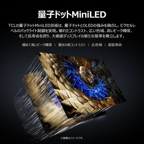 イーウェルネス楽天市場店の【無料長期保証】TCL 98X11K 98V型 量子ドットMiniLED プレミアム4K液晶テレビ BS・CS 4Kチューナー内蔵 YouTube対応｜アングル2