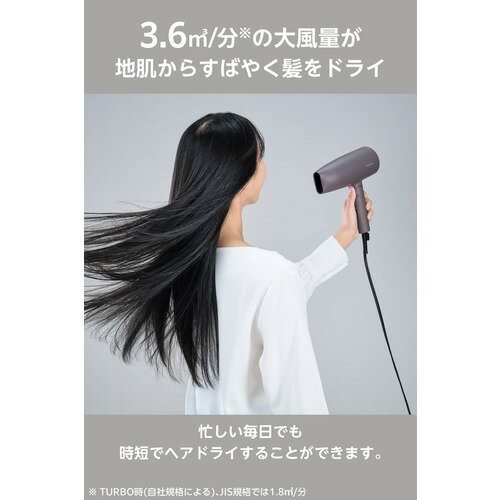 テスコム TD361A-H ドライヤー 大風量 3.6m3／分 速乾 プロテクトイオン 折りたたみ 冷風でもパワフル グレー