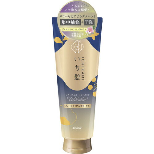 クラシエHP いち髪 ダメージリペア&カラーケア トリートメント 230g