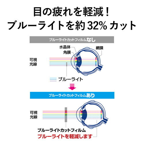 イーウェルネス楽天市場店のエレコム DJP-TP032BL 電子辞書液晶保護フィルム ブルーライトカット CASIO 2020年新モデル対応 Lサイズ｜アングル3