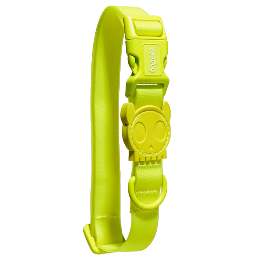 zee.dog ジードッグ NEOPRO 2.0 ネオプロ　COLLARS/首輪 LIME(ライム) サイズS (小型犬用) 702799 【ポイント10倍】【5月末まで】