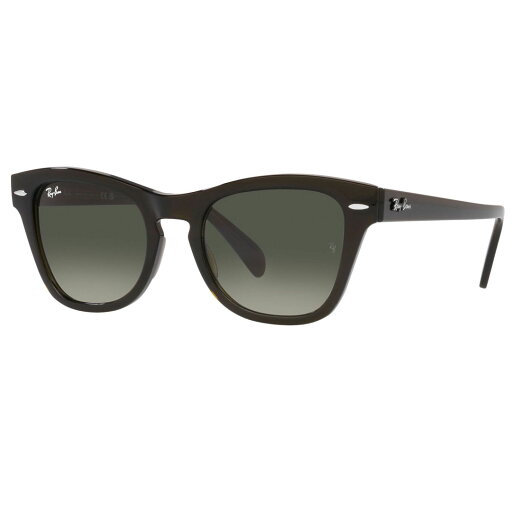 レイバン Ray-Ban RB0707SF 664271 53 TRANSPARENT OLIVE GREEN サングラス 【 あす楽 】【 送料無料 ( 沖縄・離島を除く ) レイバン Ray-Ban RB0707SF 664271 53 TRANSPARENT OLIVE GREEN サングラス 【 あす楽 】【 送料無料 ( 沖縄・離島を除く )