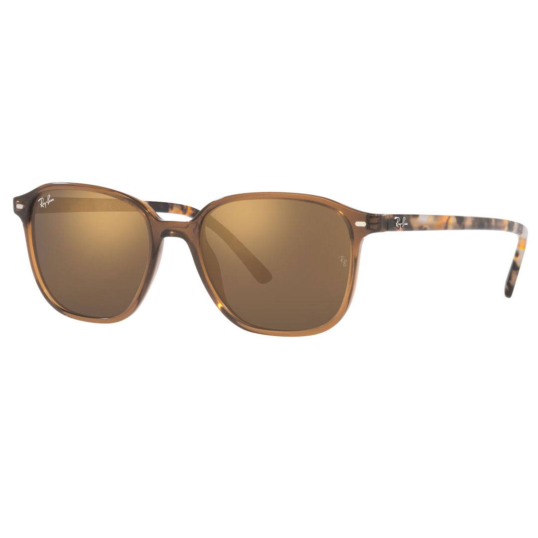 Co Ray-Ban LEONARD RB2193F 663693 55 TRANSPARENT BROWN TOX y y zy  ( E )