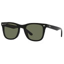 レイバン Ray-Ban RB4391D 601/9A 65 BLACK サングラス 【 あす楽 】【 送料無料 ( 沖縄 離島を除く )