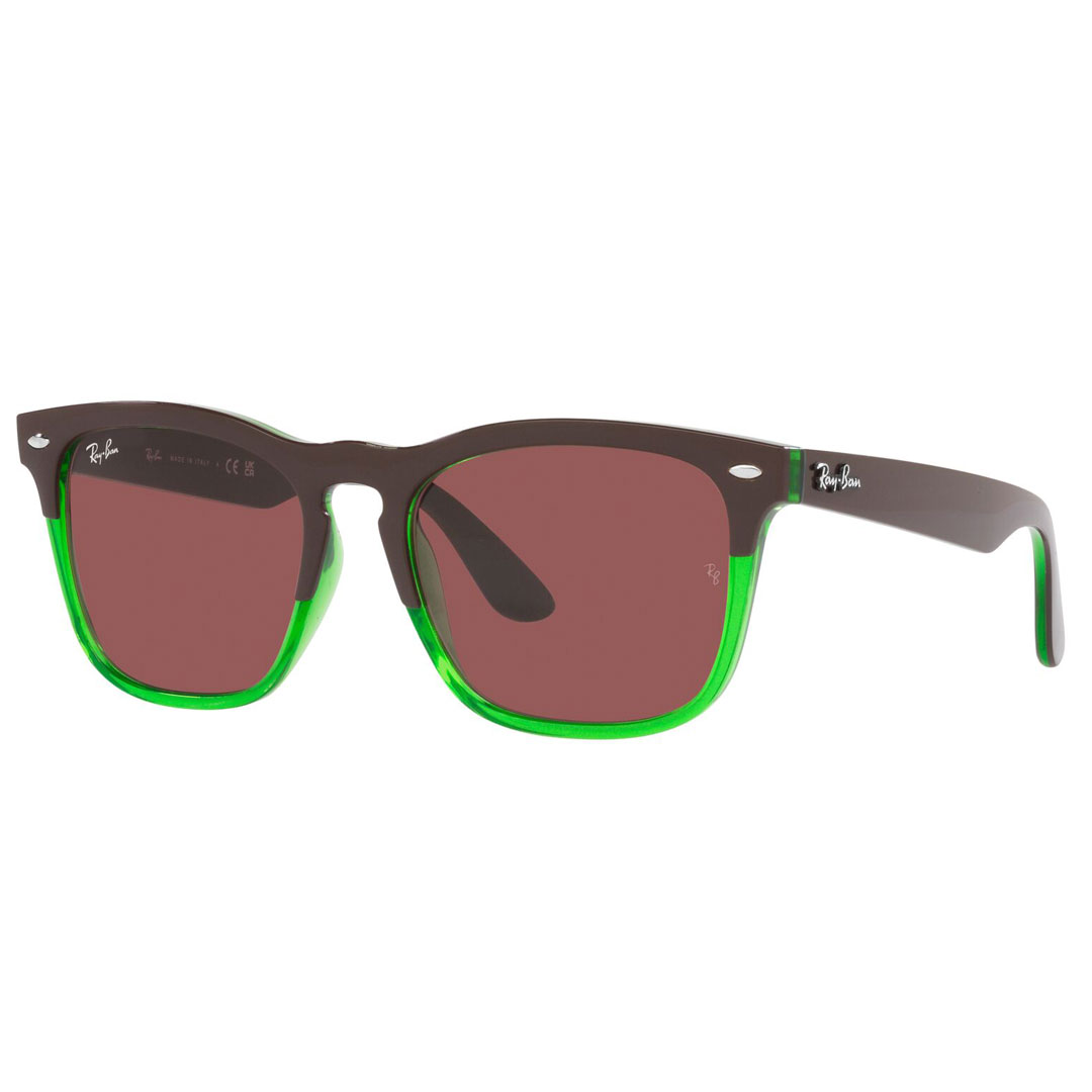 Co Ray-Ban STEVE RB4487F 663469 54 DARK BROWN ON TRANSP GREEN TOX y y zy  ( E )