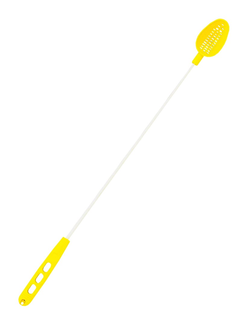  ڤ   