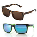 J[u TOX CARVE SUNGLASSGOBLIN type2(MAT/TRT_BR_PLEMAT_BLK/GRN_REV/POLA)TOX