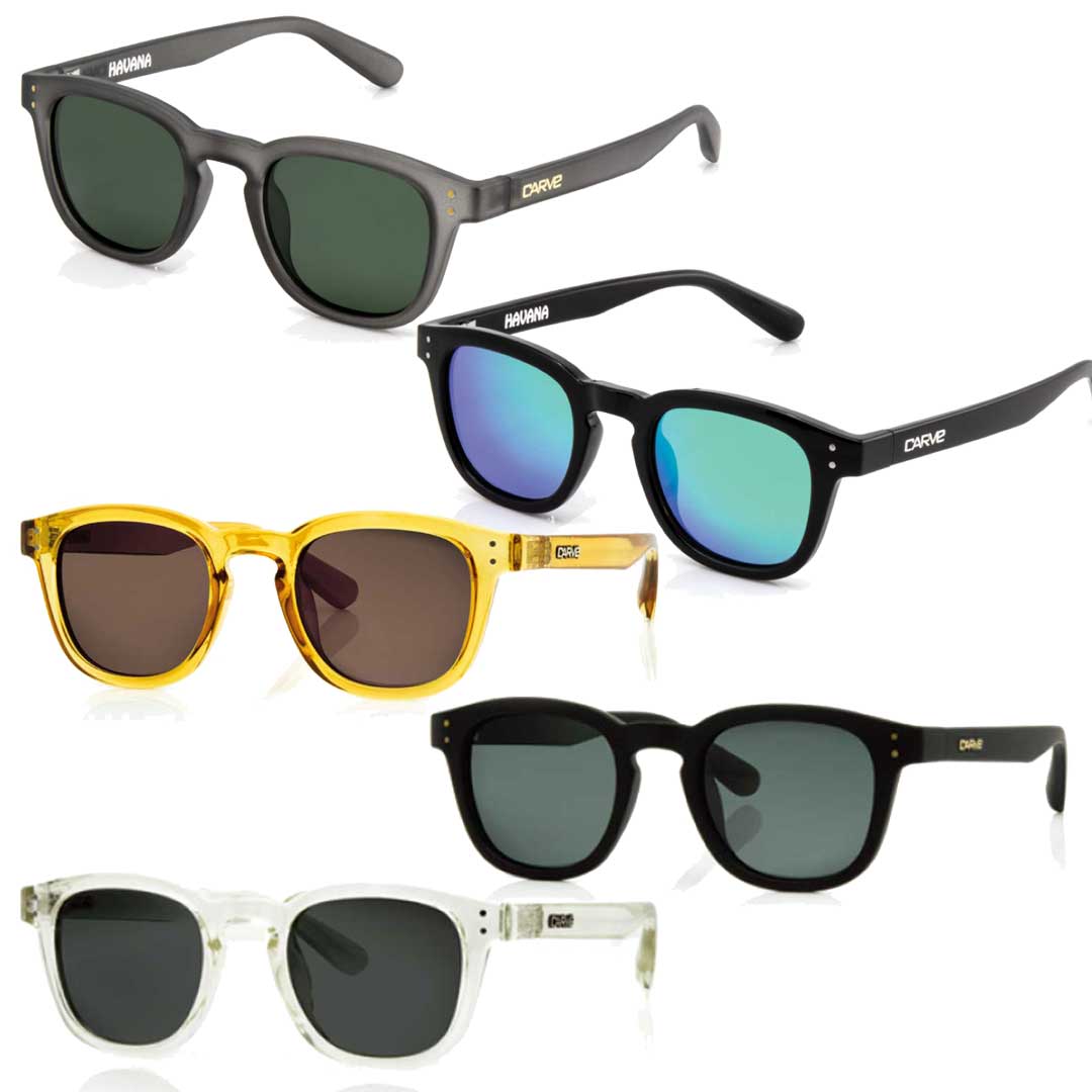 J[u TOX CARVE SUNGLASSHAVANA(GRY_TRAEGLS_BLK_GREEGLS_C_HNY/BRN_POLAEMAT_BLK/GRY_POLAEGLS_CLR/GRY_POLA)TOX