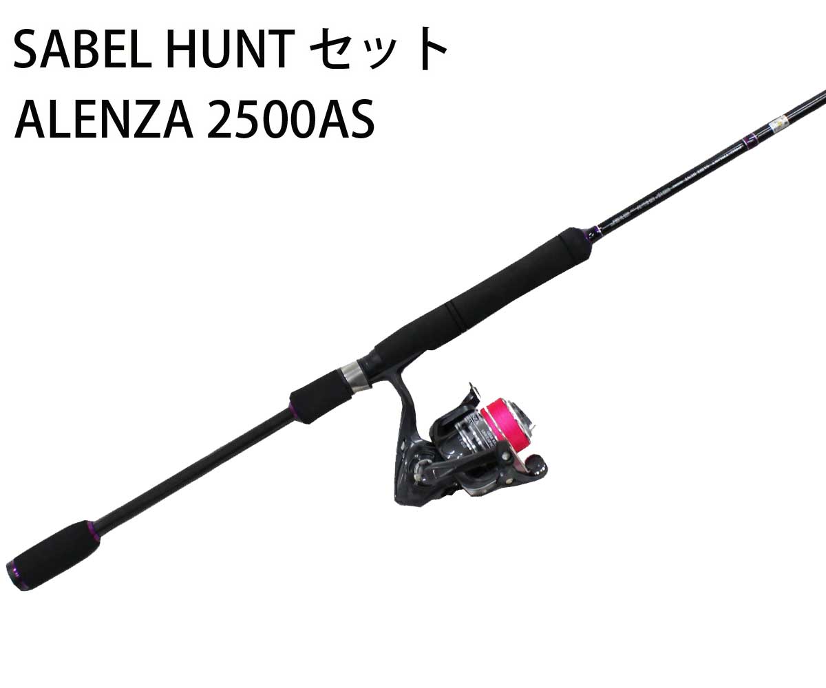 磻ɥåȥåSABELHUNTSHX862꡼ALENZA2500ASåɥ꡼륻åȡڤڡۥ磻ˡΥԲ