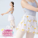 バレエ スカート レディース 大人 シフォン 社交ダンス レッスン着 練習着 ジュニア ステージ衣装 ダンス衣装 新体操 発表会 柔らか 可愛い