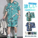セットアップ メンズ ルームウェア 上下 パジャマ 半袖Tシャツ ショートパンツ 短パン トップス 部屋着 春 夏用 リゾート スポーツ 父の日