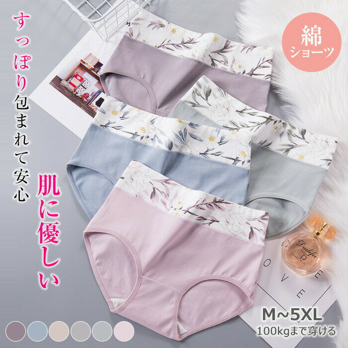 �礭���������б� ���٤�5�祻�å� �ʥ��硼�� �����ɽ� ȩ���� ��ǥ���������ʡ� �ϥ��������ȥ��硼�� ʢ�����硼�� ���륯�����å� ���硼�� ������ �ե�...