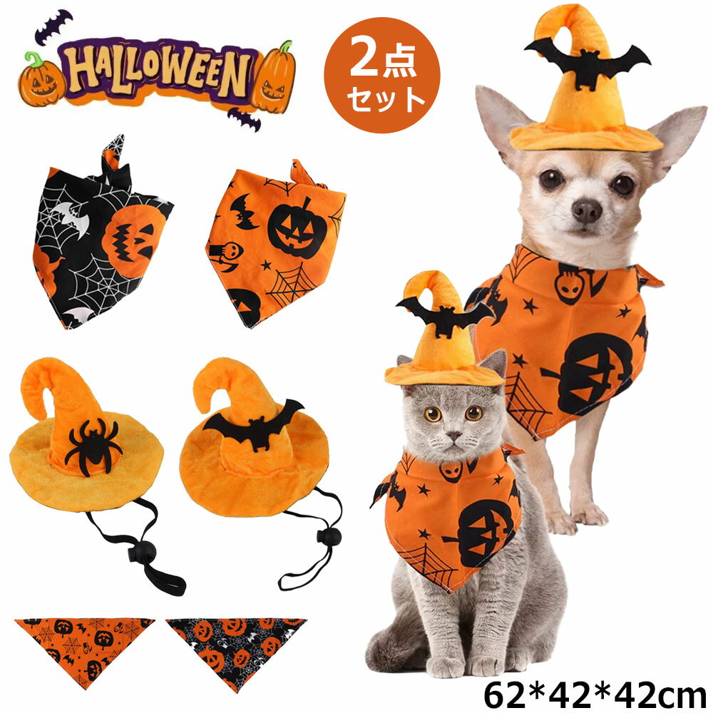 �ڥå��� �ϥ��������� �ڥå��� ���� �����ץ� ���� ǭ�� ���� ���ܤ��� �������塼�� ˹�� �ڥå��� ������ �ڥåȤβ����� �����ץ���� �ڥåȥ�����...