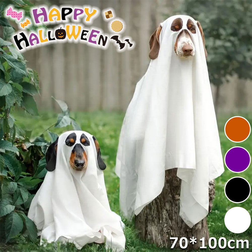 �ϥ������� �����ץ� ���� �ڥå��� ͩ�� �������塼�� ���� ���� �ڥå��� �����ץ� ���� ���� ���� ǭ�� �ڥåȥ����� �ǥӥ� ���٥�� ���襤�� 4��...