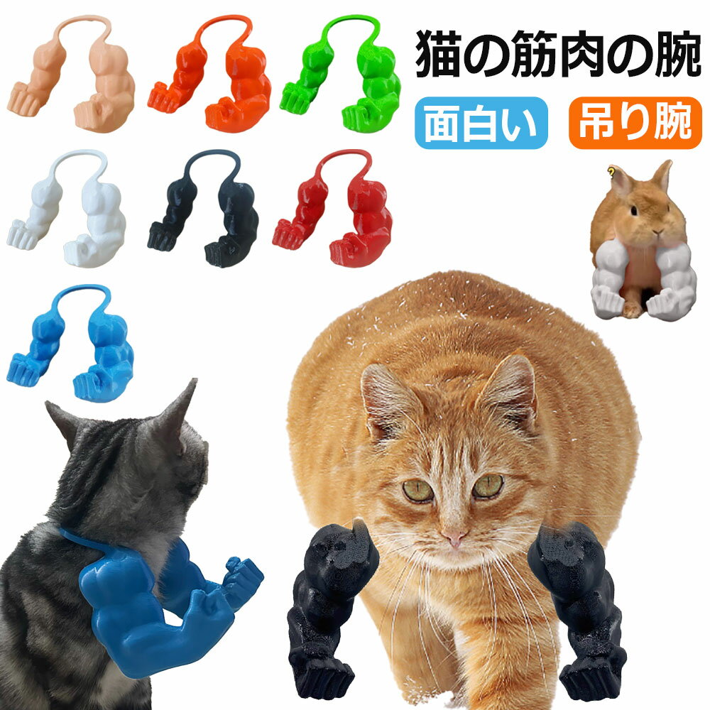 2025新発売 猫 面白いグッズ 猫の筋肉の腕 ペット コスプレ 猫 コスチューム 創造的な巨大な腕 3D立体 ..