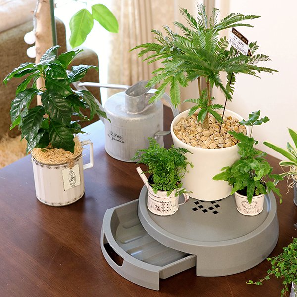 排水できる鉢受台 30型 ホワイト アップルウェアー 鉢皿