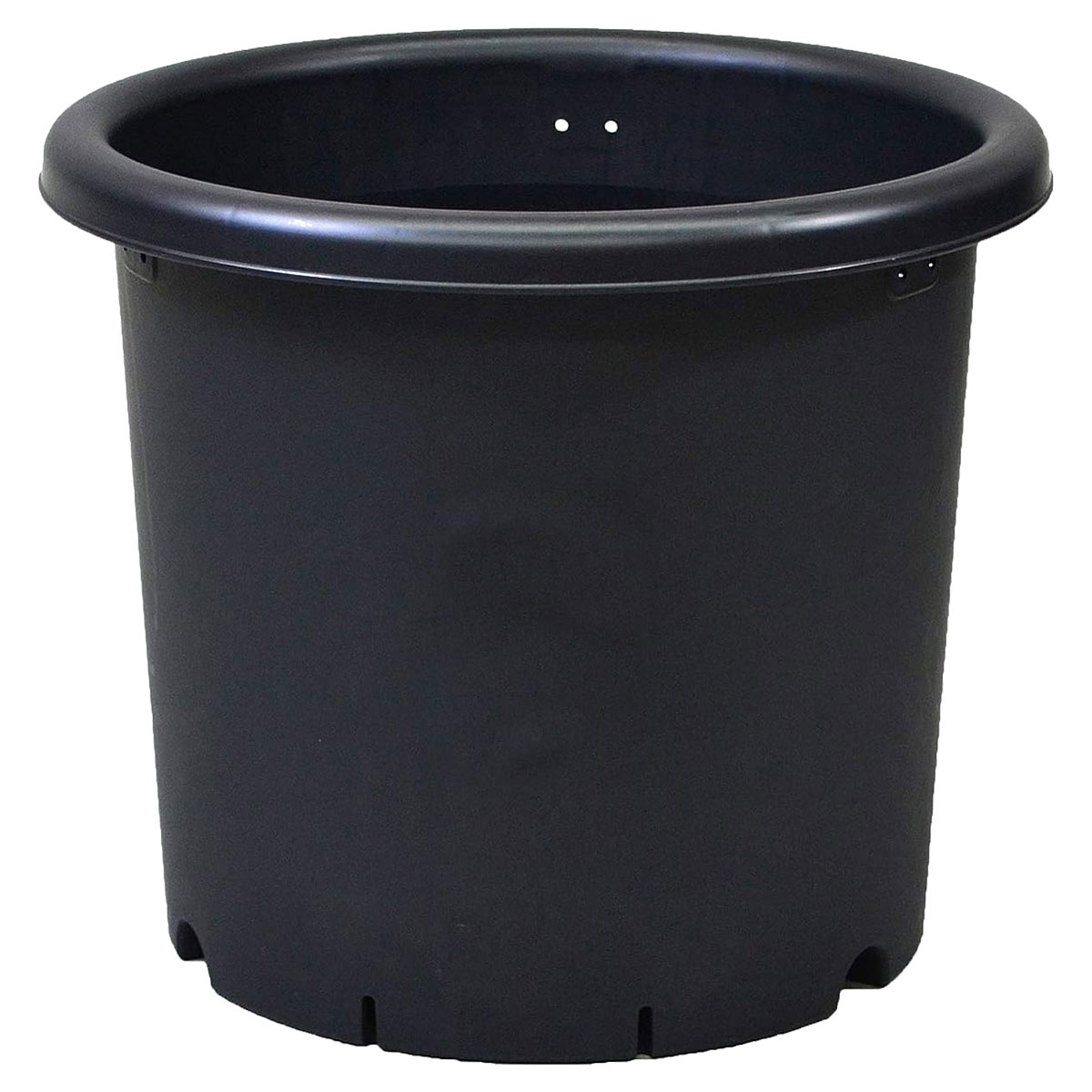 磻㤨ֵȭ 5 6 7 8 9 10 åץ륦 ȭפβǤʤ1,108ߤˤʤޤ