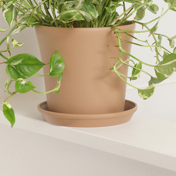 コティポット 190型 ブラウン アップルウェアー 鉢