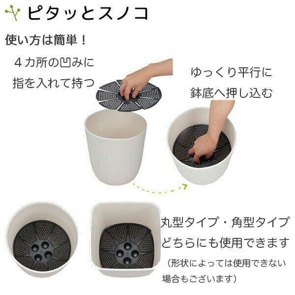 �ԥ��äȥ��Υ� 33�� �֥�å� ���åץ륦������ �����ǥ�����